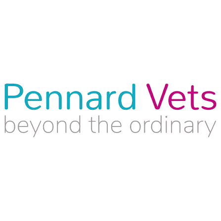 Pennard Vets Sevenoaks
