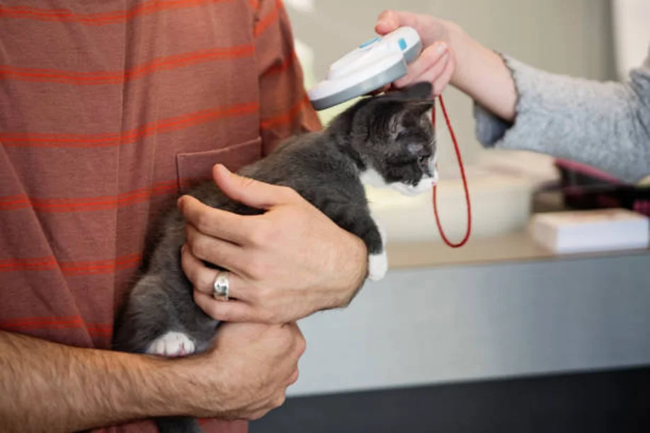 Pet Mobile Vet Microchip