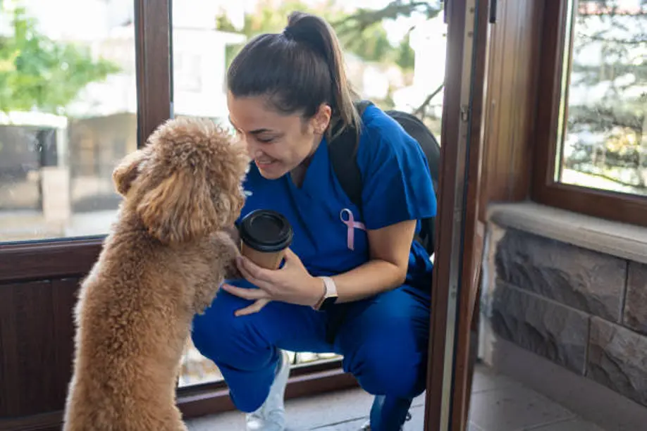 Home Vet Visit or Vet Practice
